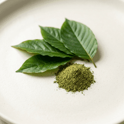 Kratom leaves and ground kratom powder